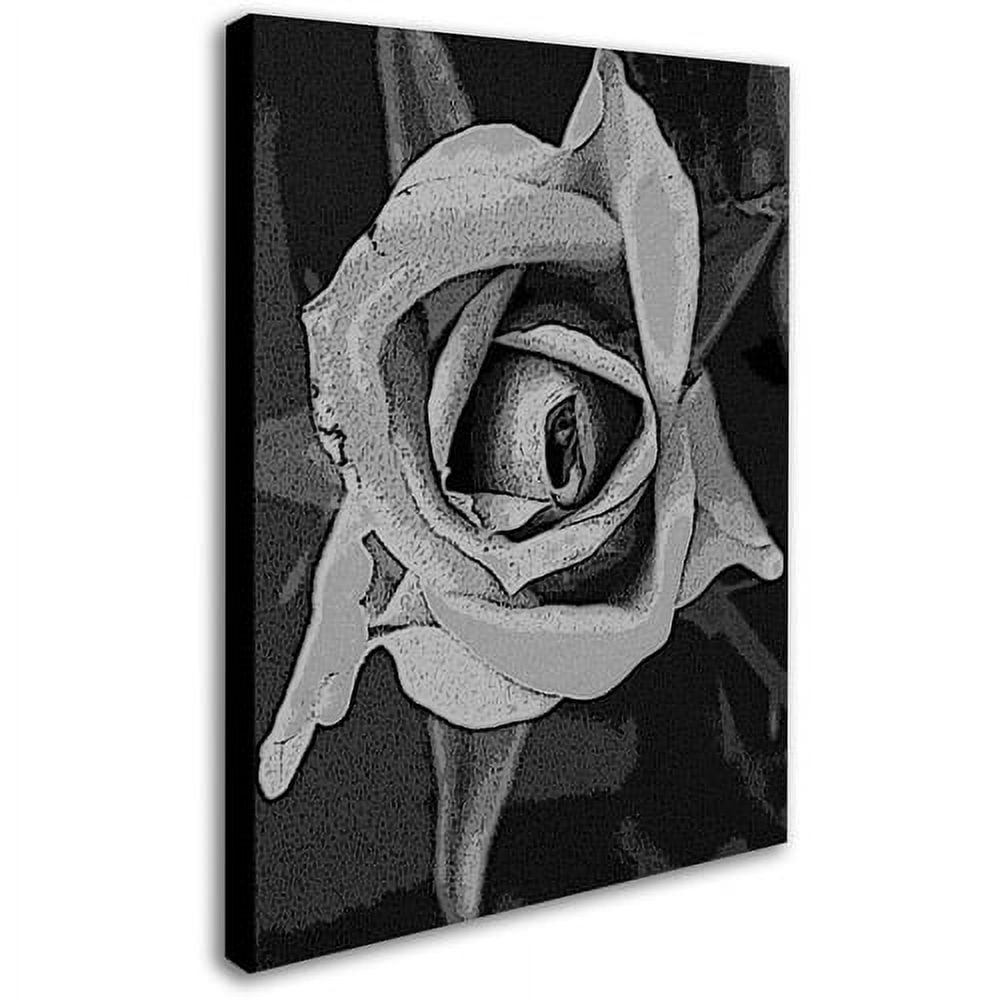 Trademark Fine Art "Black & White Rose" Canvas Wall Art by Patty Tuggle
