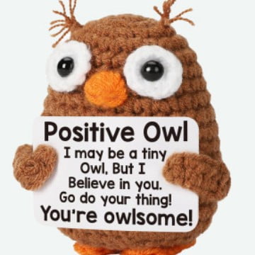 Handmade Positive Crochet Owl Gift Mothers Day Mom from Daughter Son, Teacher Appreciation Graduation Nurse Week Fathers Day BirthdayGifts for Teacher Nurse Friend, Handmade Crochet Owl Gifts