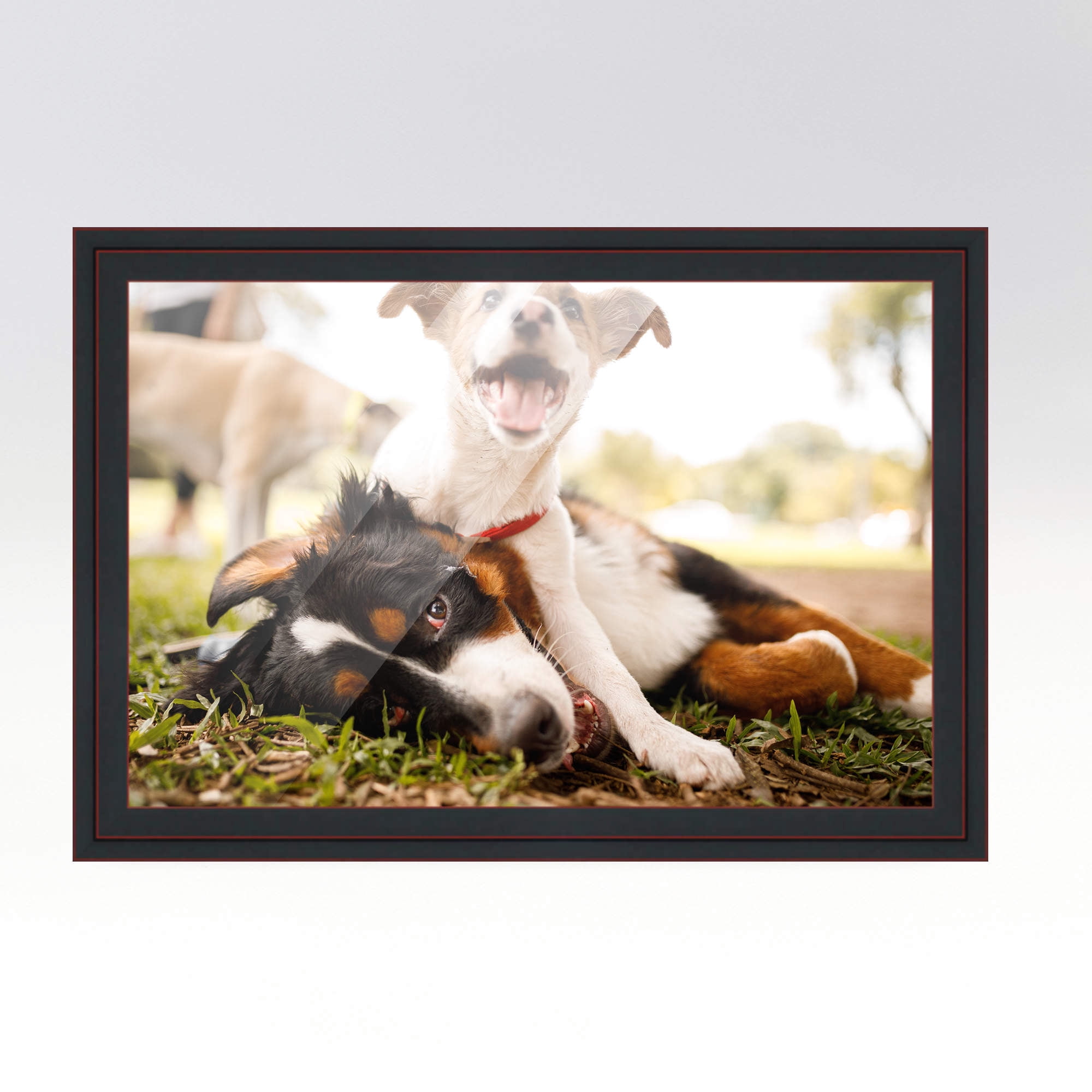 18x24 Frame Black Real Wood Picture Frame Width 1.25 inches | Interior Frame Depth 0.5 inches |