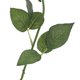 thumbnail image 5 of 8 Uds. Flor de rosa Artificial arcoíris prensa Real flor de seda Artificial, 5 of 5