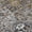 Black, variant on Addison Rugs Chantille Indoor/Outdoor Traditional Global Black Machine Washable Rectangle Rug, 10' x 14'