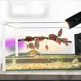 thumbnail image 1 of Phenofice Artificial Tropical Plants Vines Habitat Decor Red Plastic 1Set For Pet Owners, 1 of 6