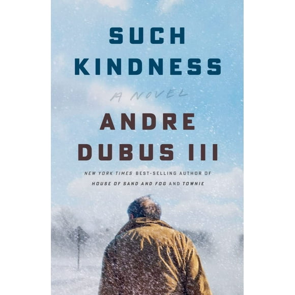 Such Kindness: A Novel