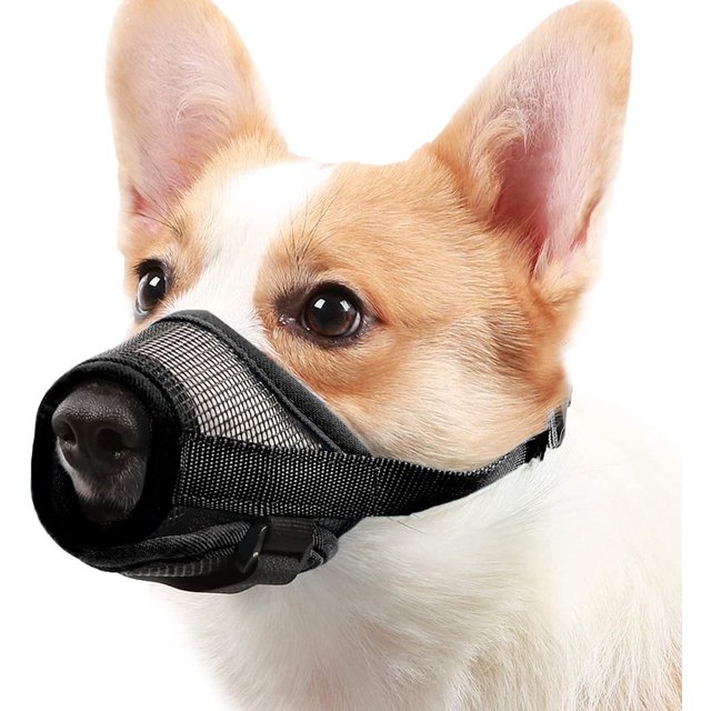 Dog Muzzle with Adjustable Velcro to Prevent Biting Barking and Chewing, Air Mesh Breathable Pet Muzzle for Small Medium Large Dogs (S+: (Snout 6"- 8¼"), Black)