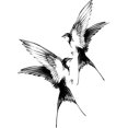 thumbnail image 3 of shiyou-Tattoo Tech, 2 Sheets Medium Semi Permanent Tattoo, Adult Art Design Temporary Tattoos, Lasts 1-2 Weeks, Waterproof, Realistic Look, No Adhesive, No Reflection (Double Swallow Design), 3 of 4
