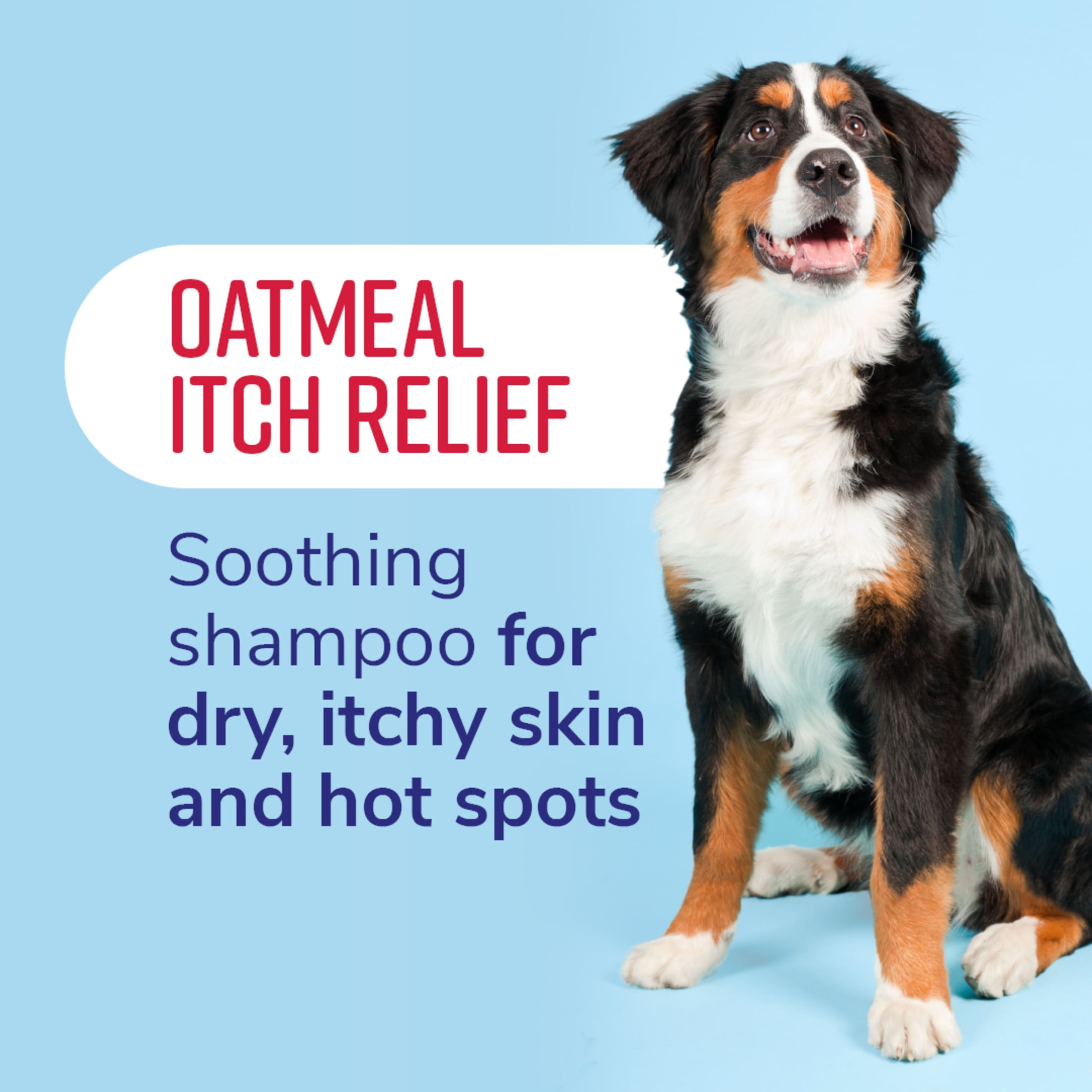 Fresh & soothing store oatmeal itch relief