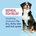 thumbnail image 3 of Naturel Promise Fresh & Soothing Oatmeal Dog Shampoo, For Dogs, 22 oz, 3 of 8