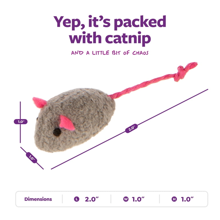 SmartyKat Skitter Critters Value Pack, Soft Plush Catnip Filled Mice Cat  Toys, 10 Count