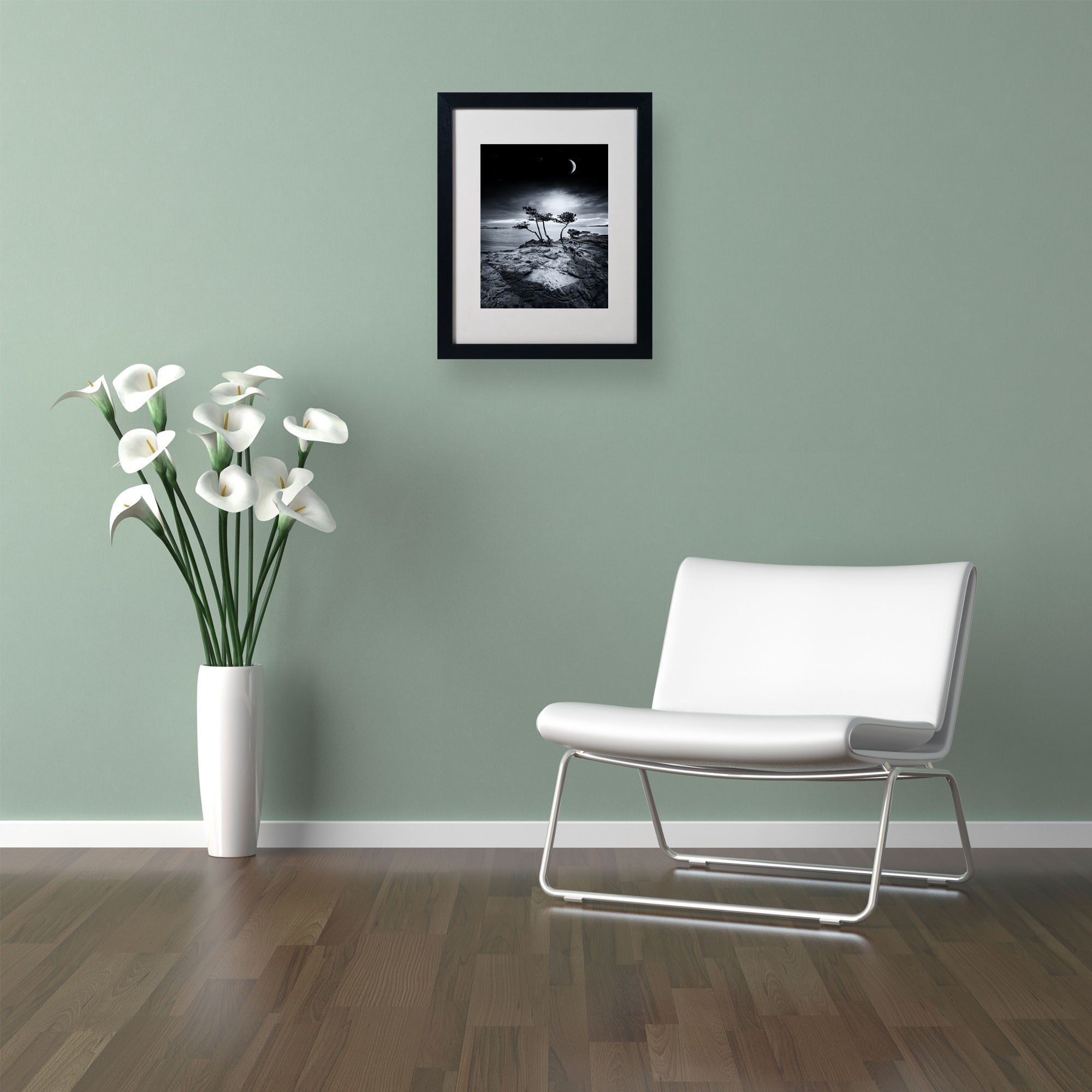 Trademark Fine Art "Emotional High" Canvas Art by Philippe Sainte-Laudy, Black Frame