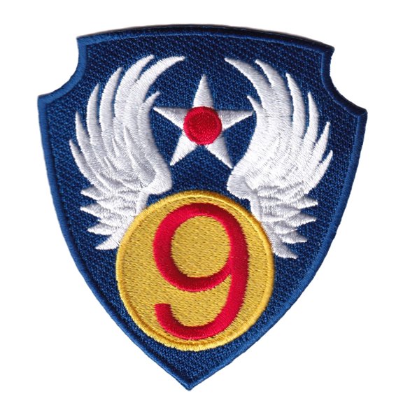 9th Air Force Patch Plastic Backing/Sew On, 3.5"