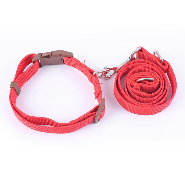 Juego de collar y correa para perro, collar ajustable de nailon para mascotas, adecuado para perros pequeños y medianos,