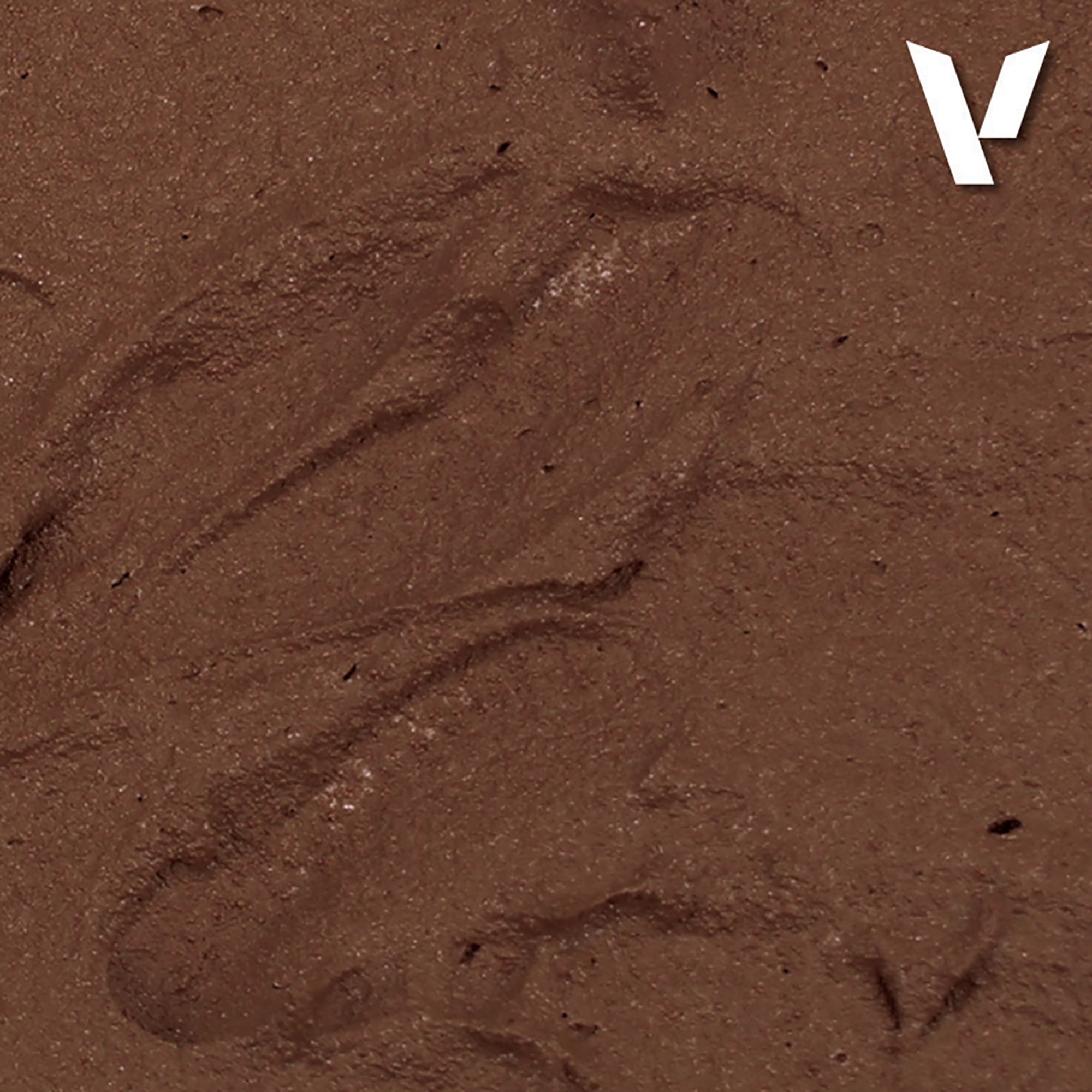 Vallejo Paints: Brown Earth Texture Acrylic, 6.79oz (200ml)