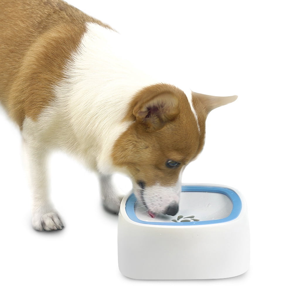 Dog Water Bowl No Spill Dog Bowl Extra Large Capacity Slow Drinking Water Feeder - blue
