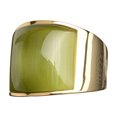 thumbnail image 1 of Sonducket Anillo de acero inoxidable para mujer, moda de cumpleaños, boda, fiesta nupcial, tienda, fecha escolar, joyería de viaje para mujer Ropa, zapatos y accesorios Miscelánea Verde Sonducket AP014986-09, 1 of 6
