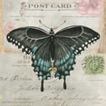 thumbnail image 2 of Jacobs, Cindy 12x12 White Modern Wood Framed Museum Art Print Titled - Postcard Butterfly III, 2 of 4