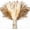 HS09, variant on Acquisition 110 Pcs Dried Flowers, Boho Decor, Pampas Grass Decor, Flores Artificiales Para Decoracion