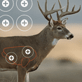 thumbnail image 4 of Ez Aim Splash Reactive Paper Shooting Targets by Allen Company, Whitetail Target, 24"W x 13"H, 3-Pack, Multi-Color, 2 Pack, 4 of 8