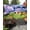 MediumPurple, variant on Outdoor Sun Shade Sail 6.5'x10', Vintage Hydrangea Patio Beach Shade Canopy Cloth Waterproof, Spring Purple Flowers Garden Plants TearResistant & UV Protection Sun Sail for Backyard Garden Deck