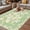 Green, variant on Pink Orchid Flowers Outdoor Rug for Patio/Deck/Porch, Non-Slip Large Area Rug 4 x 6 Ft, Vintage Floral Leaves Plants Spring Indoor Outdoor Rugs Washable Area Rugs, Camping Rug Carpet Runner