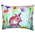 thumbnail image 3 of Betsy Drake ZP348 Dicks Blue Morpho Extra Large Zippered Pillow, 3 of 3