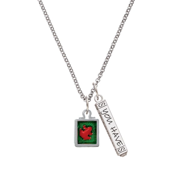Delight Jewelry Silvertone Red Tree Frog in Shadow Box Silvertone Live the Life You Have Imagined Bar Charm Necklace, 23"
