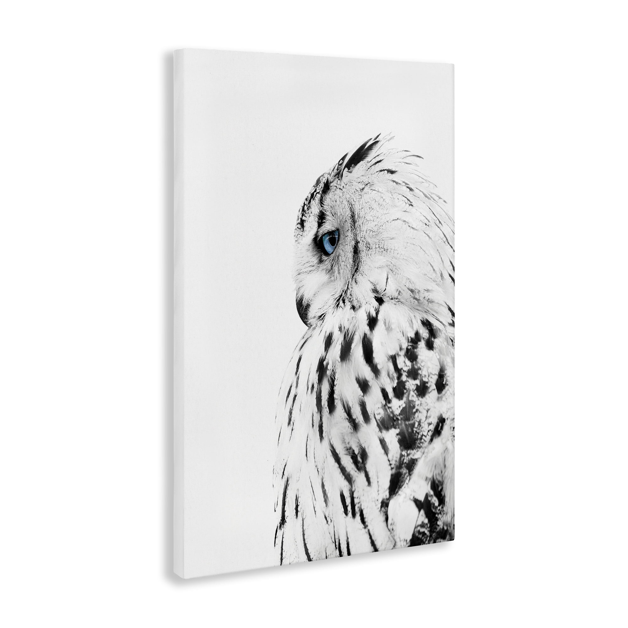 Stupell Industries Owl with Strong Blue Gaze Animals Painting Wrapped Canvas Art Print Wall Art, 24 x 36