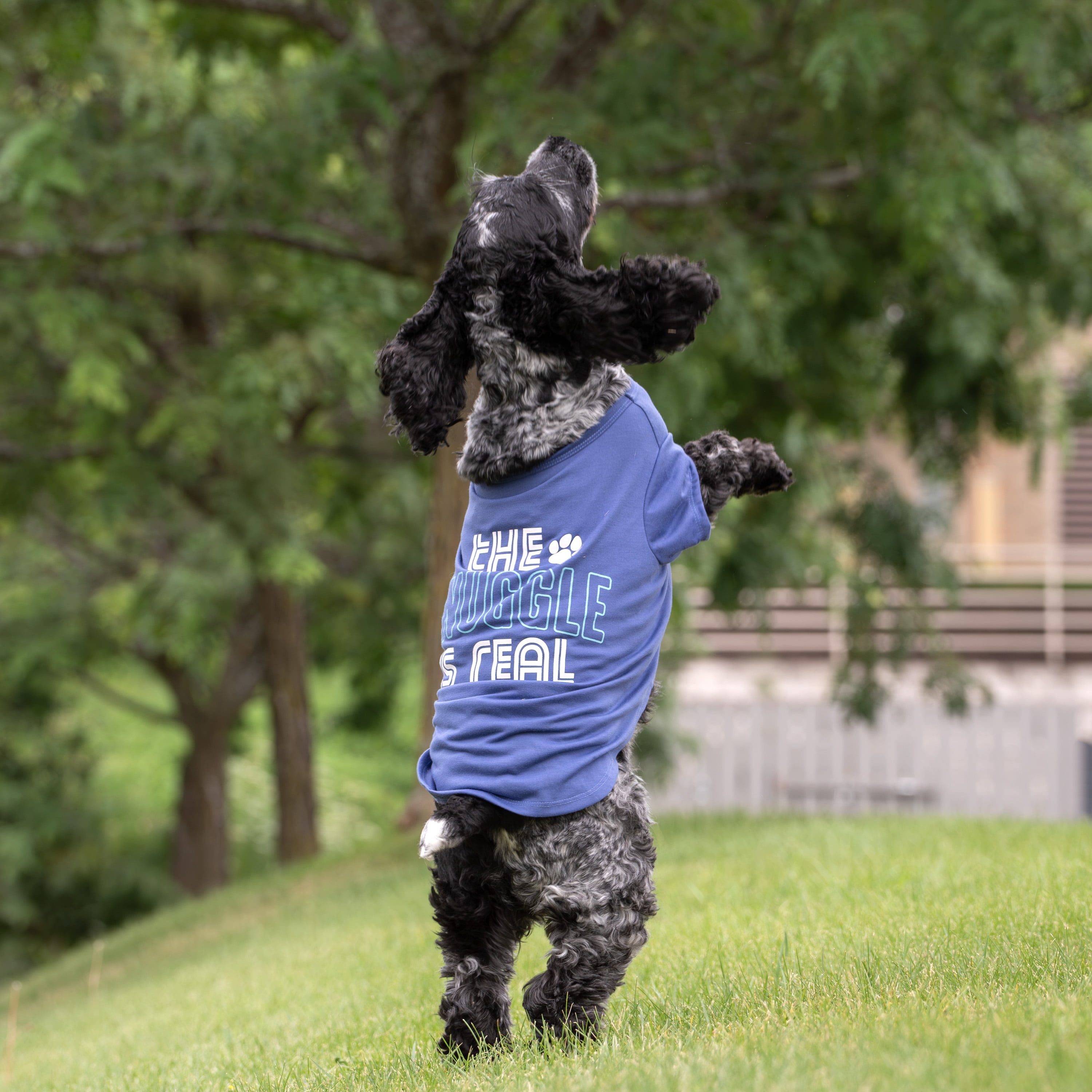 Vibrant Life The Snuggle Is Real Dog T-Shirt, Blue, Medium