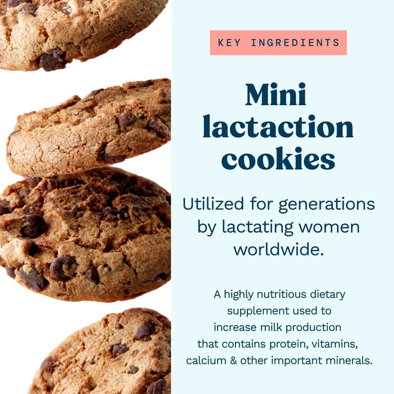 Mommy Knows Best Lactation Cookies Chocolate Chip 10oz