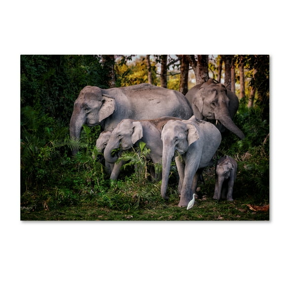 Trademark Fine Art 'Tasty Leaves' Canvas Art by Pavol Stranak