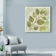 thumbnail image 3 of Trademark Fine Art 'Woodland Thoughts III' Canvas Art by Michael Mullan, 3 of 3