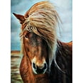 thumbnail image 2 of Aldridge, Ashley 15x18 Gold Ornate Wood Framed with Double Matting Museum Art Print Titled - Icelandic Horse Wind Blown Blonde, 2 of 4