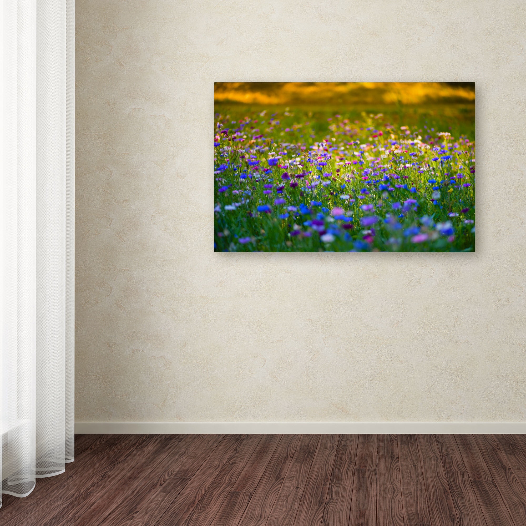 Trademark Fine Art "Candy Fields" Canvas Art by Philippe Sainte-Laudy
