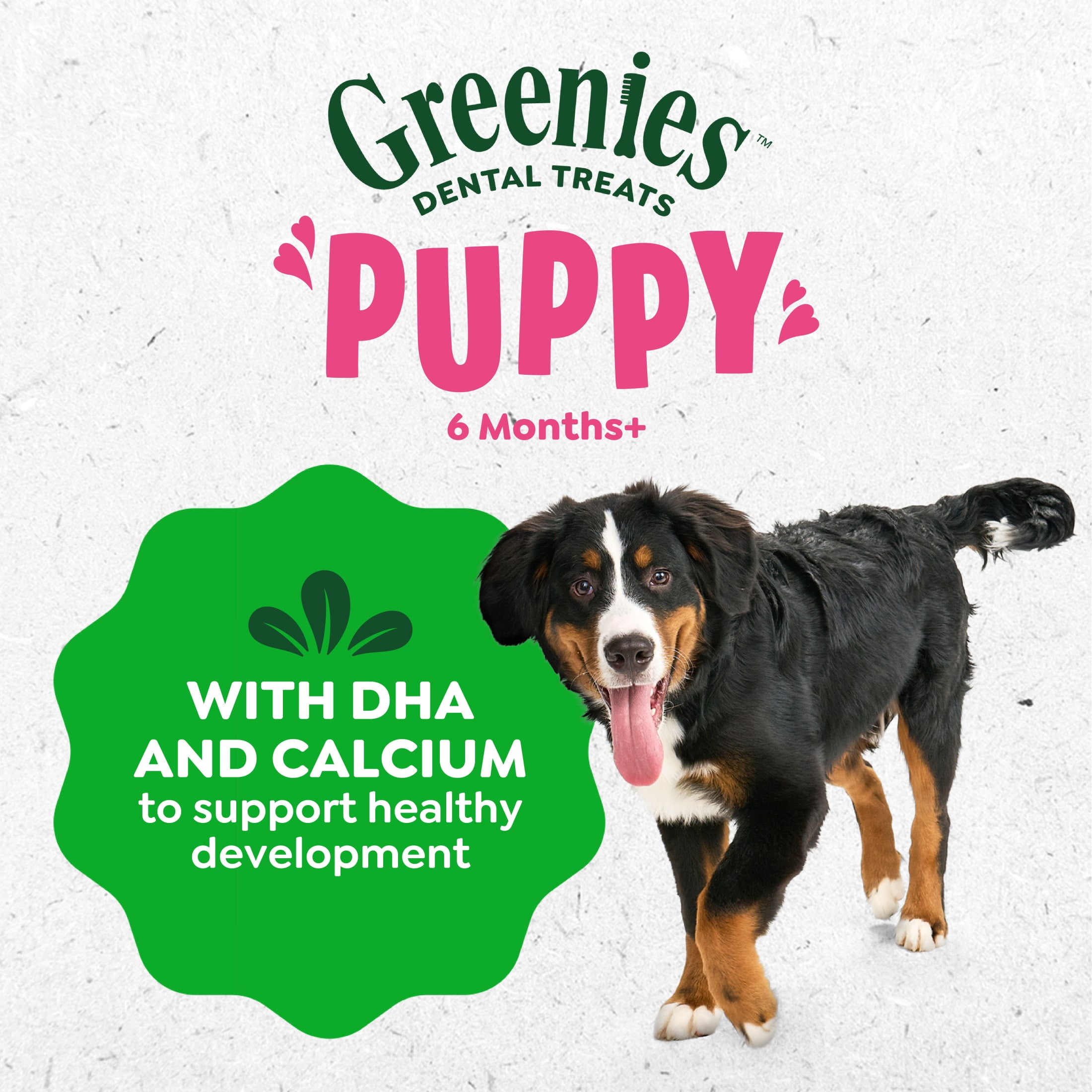 Greenies Natural Dental Puppy Treats Regular Size, 6 oz Pack (6 Count)