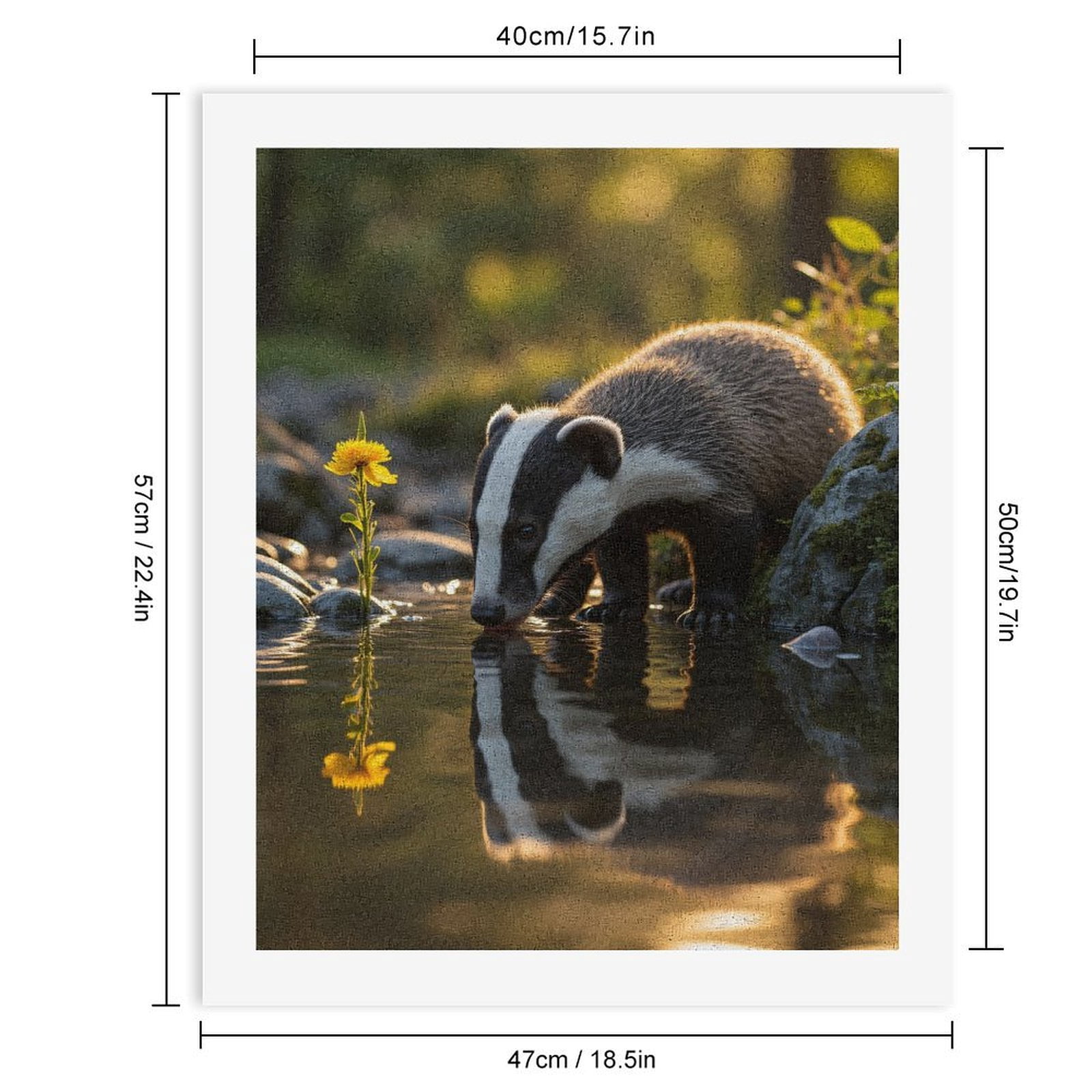 Paint by Numbers Kit for Adults, Badger Reflection Tranquil Stream Paint by Numbers, Easy Paint by Numbers Kit for Adults Beginner, DIY Adult Paint by Number Kits on Canvas, Home Decor