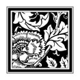 thumbnail image 3 of Vision Studio 15x15 Black Modern Framed Museum Art Print Titled - BandW Graphic Floral Motif III, 3 of 5