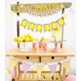 thumbnail image 3 of HTOOQ Set of 2 Lemonade Party Decor Lemonade Banner Lemonade Stand Decoration Summer Lemonade Sign Lemon Decor Lemonade Party Supplies, 3 of 7
