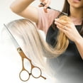 thumbnail image 2 of Unique Bargains 1 Pc Lightweight Flat Shears Hair Cutting Scissors for Hair Styling Gold Tone Silver Tone, 2 of 7