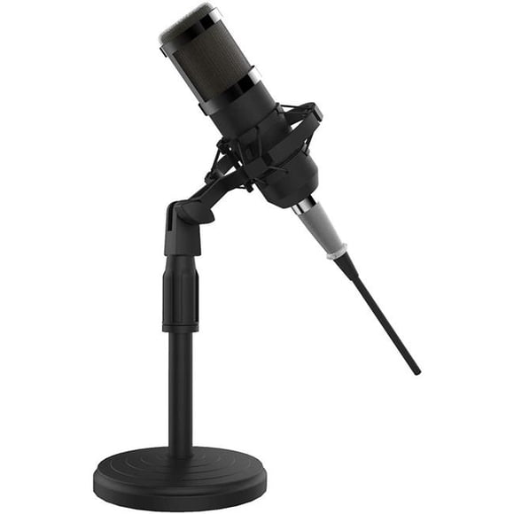 Idance MS1813 Microphone à Condensateur pour Studio de Disques