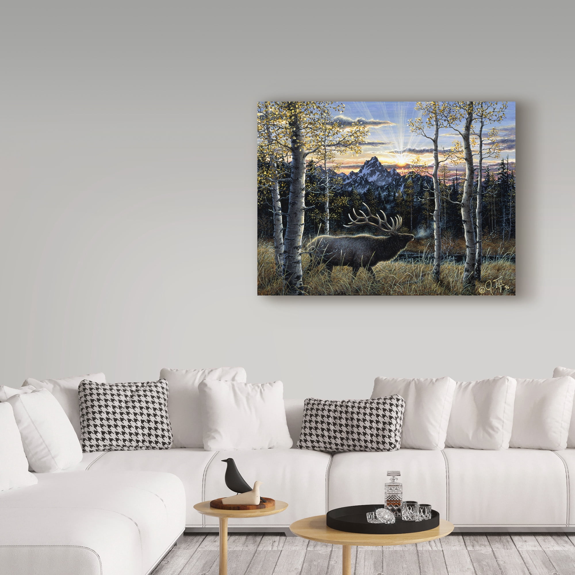 Trademark Fine Art 'Dawn Of Light' Canvas Art by Jeff Tift