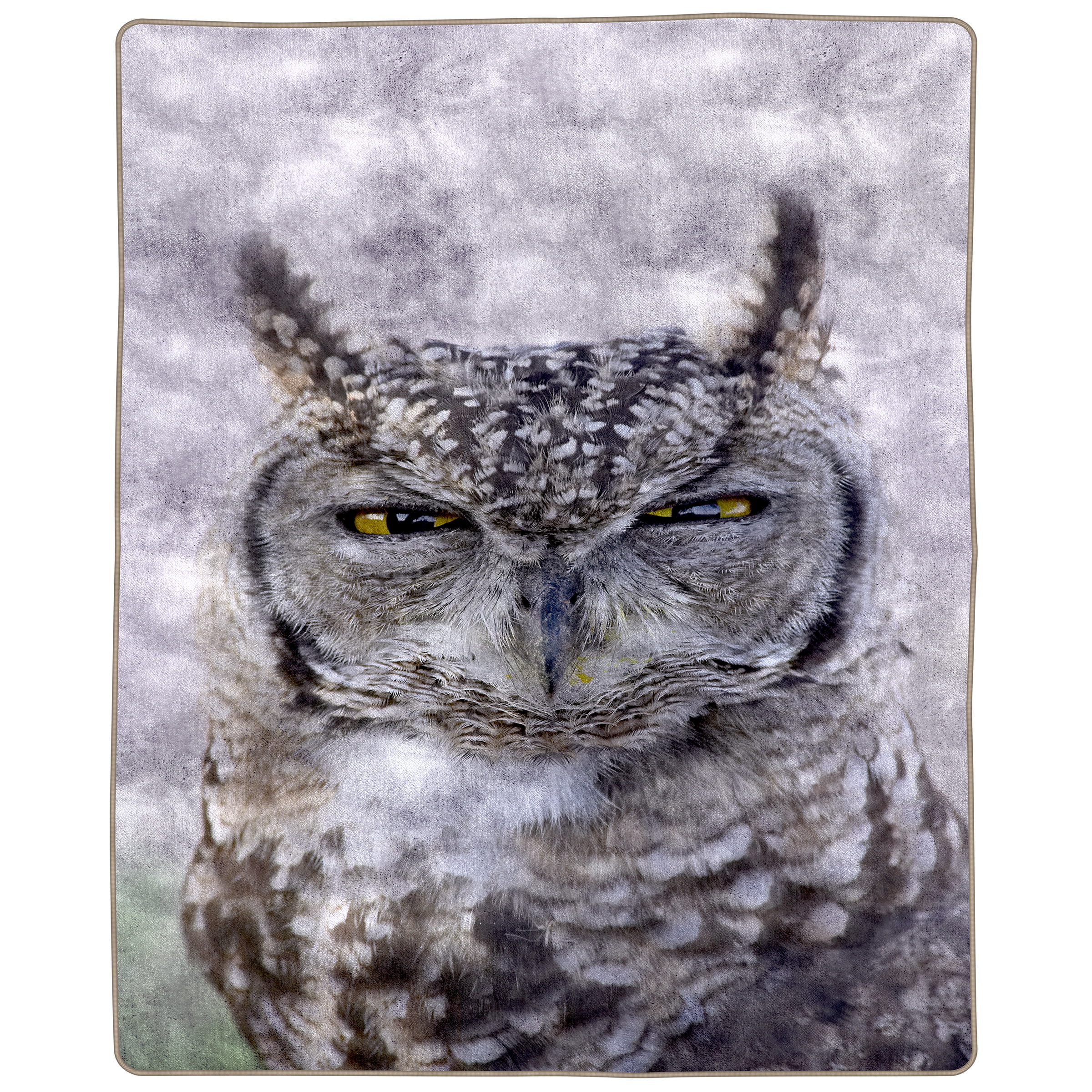 Soft Flannel Fleece Throw Blanket,Owl Art Large Flannel Fleece Blankets for Bed Couch Sofa,All Season Warm Cozy Fuzzy Lightweight Blanket for Hot Sleepers