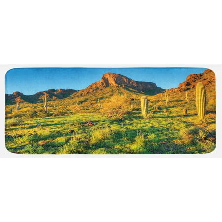 

Saguaro Kitchen Mat Picacho Peak at Sunrise Surrounded by Barren Area Hostile Living Contidions Theme Plush Decorative Kitchen Mat with Non Slip Backing 47 X 19 Green Blue by Ambesonne