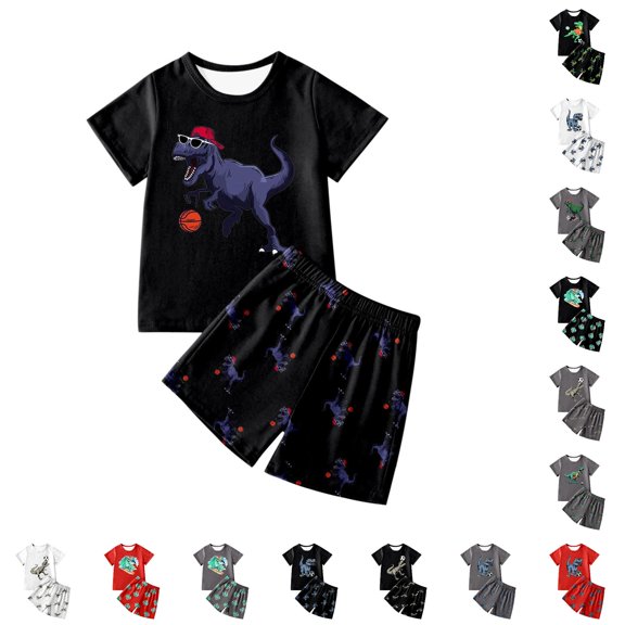 WhouRiu Boys Casual Outfits Short Sleeve Dinosaur Graphic Tees And Shorts Sets Kids Summer Clothes