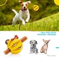thumbnail image 3 of Pelota 5cms Para Perro Premios Y Limpieza De Dietes y Encias amarillo 6.49 pulg Poli Pets PP-PP5PK, 3 of 6