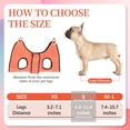 thumbnail image 3 of Hamaca para Aseo de Perros PatiencET para Gatos y Perros con Accesorios, 3 of 7