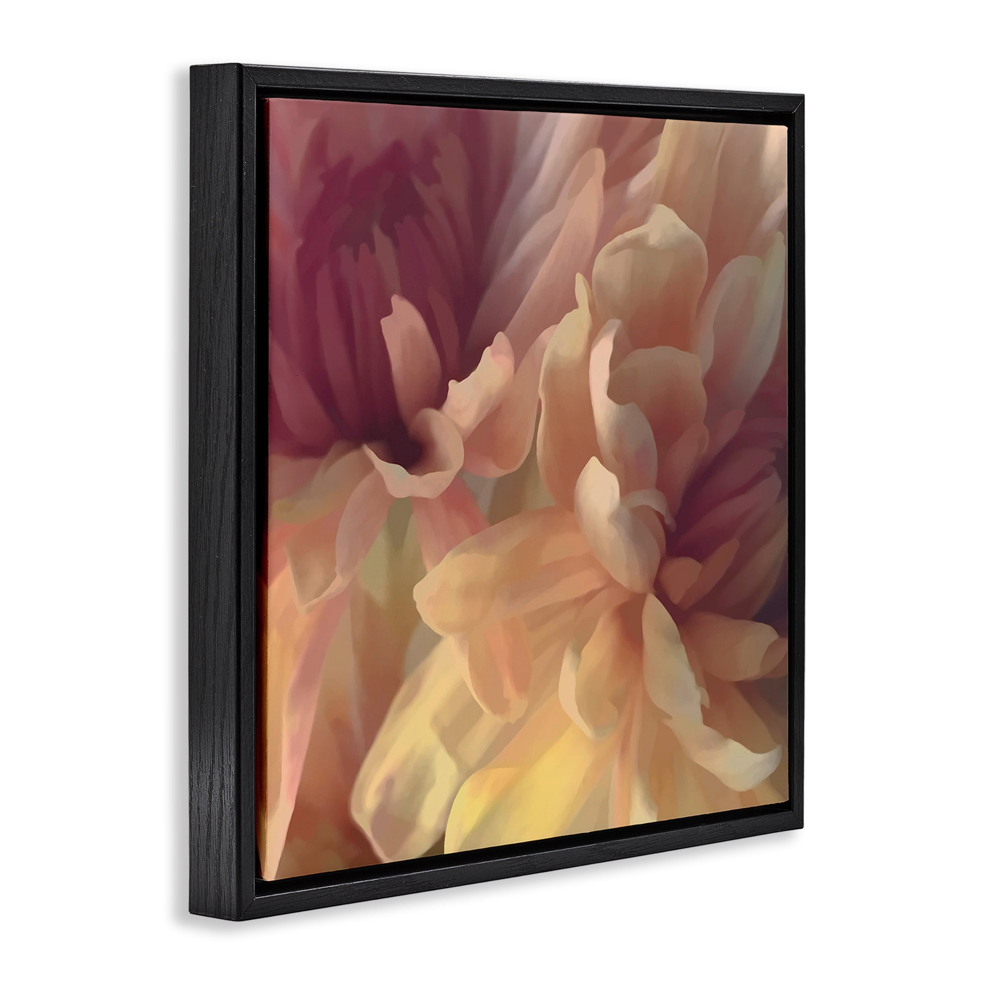 Stupell Industries Curling Dahlia Petals Botanical & Floral Painting Black Floater Framed Art Print Wall Art, 25 x 25