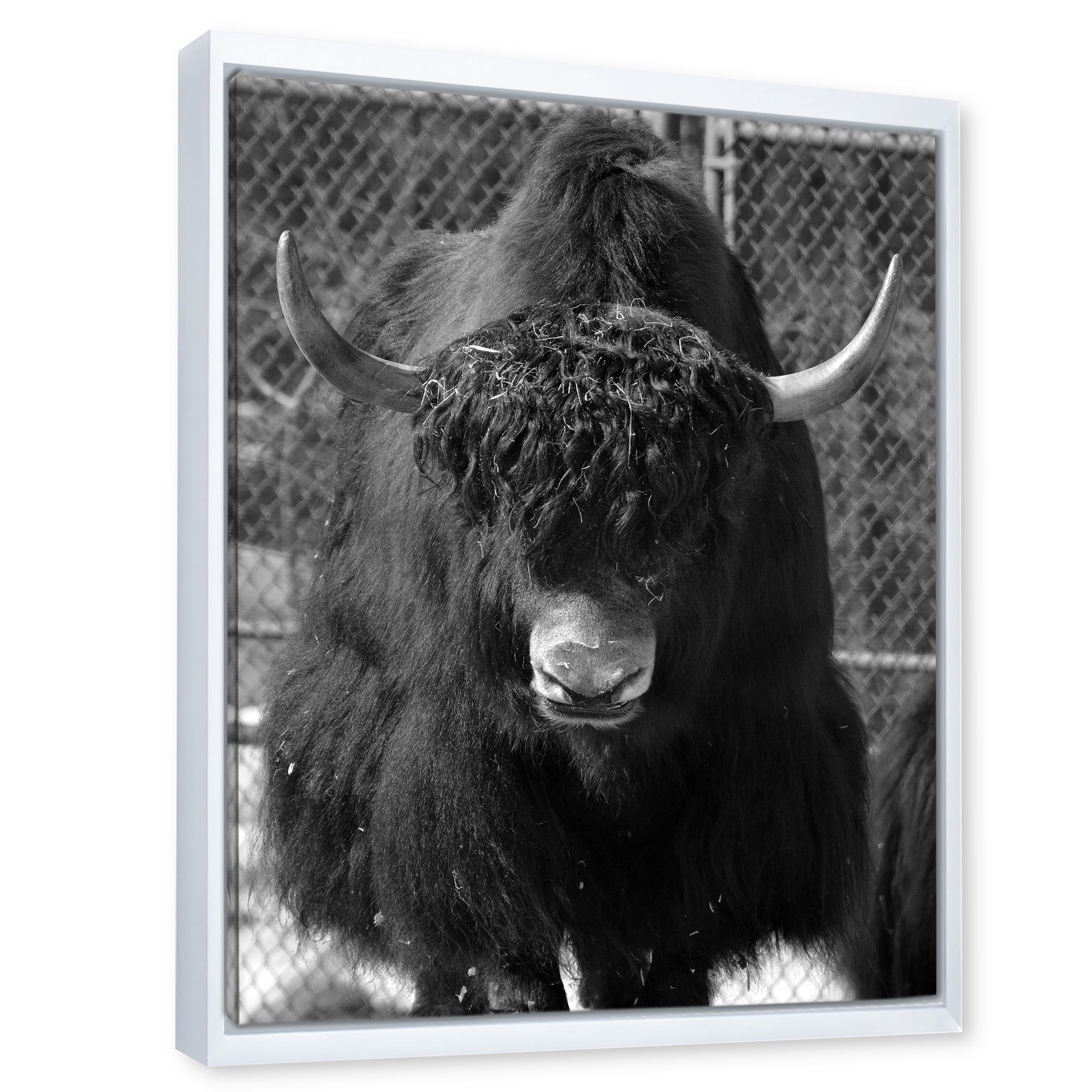 Designart 'Portrait Of Monochrome Wild Bull In Winter Forest II' Farmhouse Framed Canvas Wall Art Print
