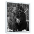 thumbnail image 3 of Designart 'Portrait Of Monochrome Wild Bull In Winter Forest II' Farmhouse Framed Canvas Wall Art Print, 3 of 5