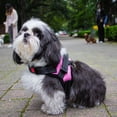thumbnail image 3 of Pechera Arnés para Perro Mr. Pets, Reflectante Ajustable rosa Chico, 3 of 8