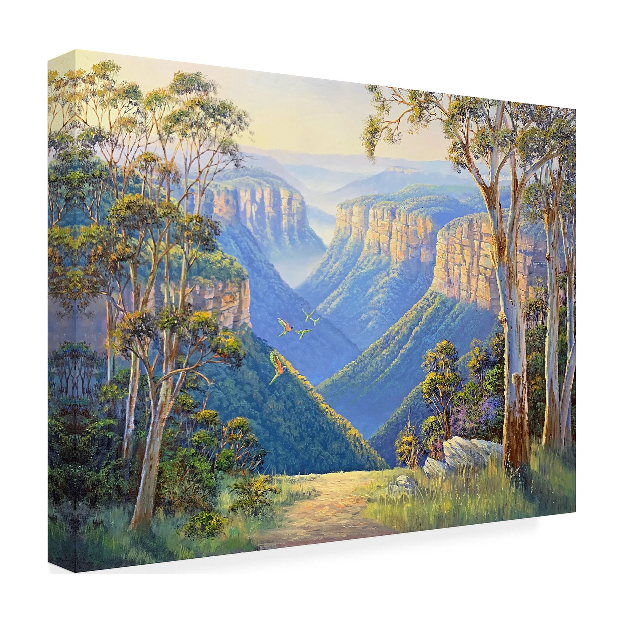 Canvas Wall Art - John Bradley 'Sunlit Walls of the Grose Valley' Wall Art for Living Room, Bedroom, or Office DÃ©cor by Trademark Fine Art - 32 x 24 Inches