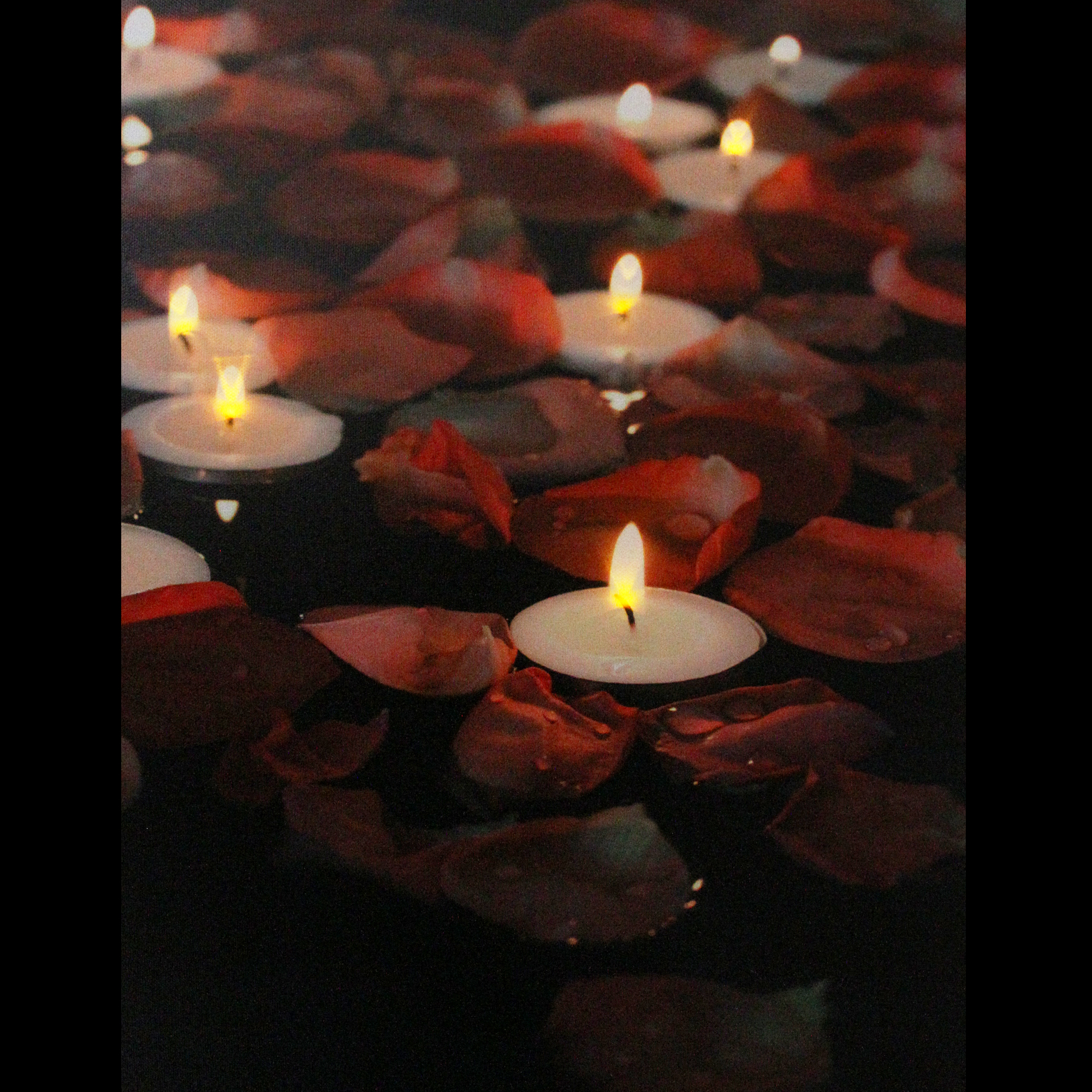 LED Lighted Flickering Garden Party Floating Candles with Rose Petals Canvas Wall Art 15.75" x 11.75"